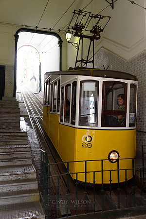 _DSC0674