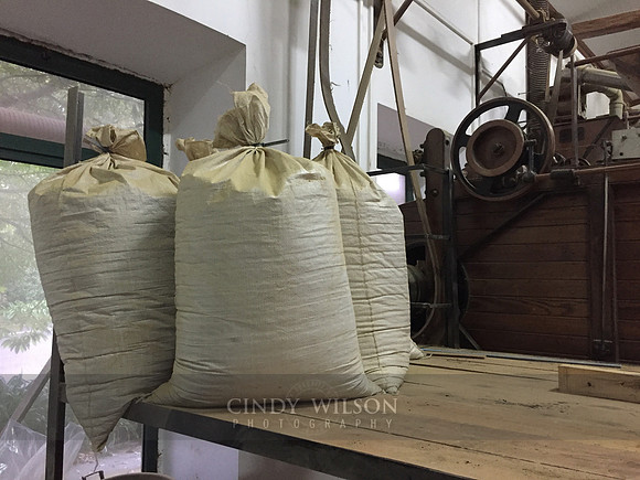 Tea Bundles