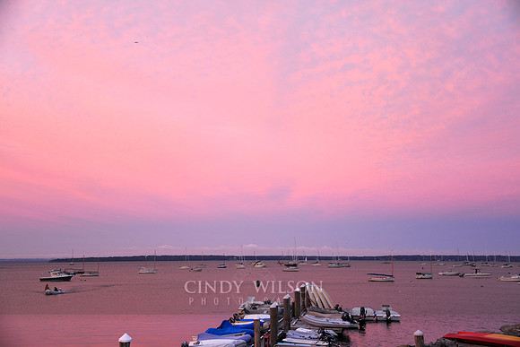 Pink Skies, WYC