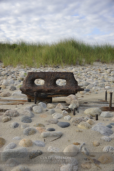 Eyes, Cuttyhunk, MA