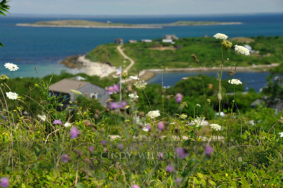 View from the Top, Cuttyhunk, MA