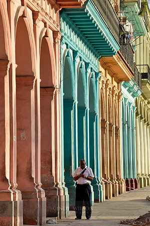 Havana Pastel