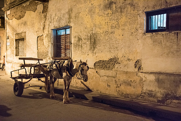White Horse, Camaguey, Cuba