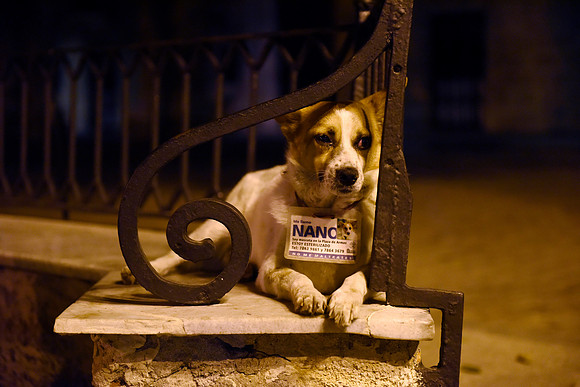 Nano, Havana