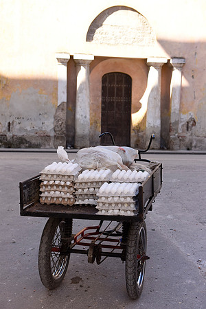 Egg Cart, Havana