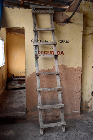 The Ladder, 2017