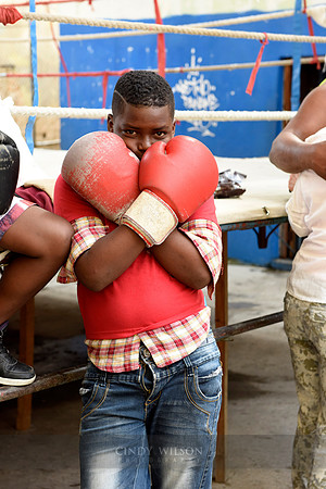 Shy Boxer, Havana