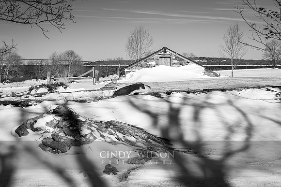 Jamestown Shadows