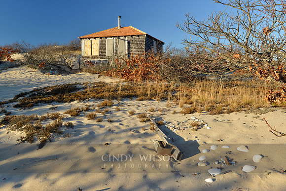 Dune Shack, Provincetown