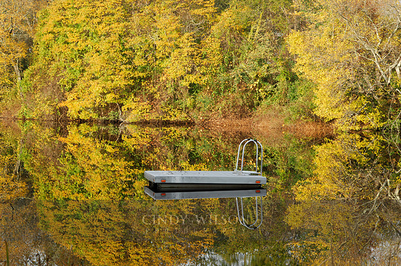 Swimming Dock, Belleville Pond NK