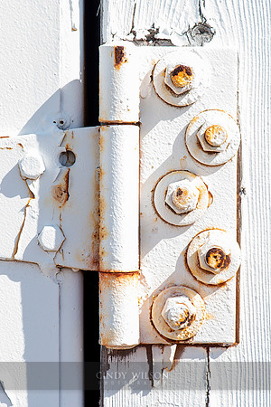 White Hinge