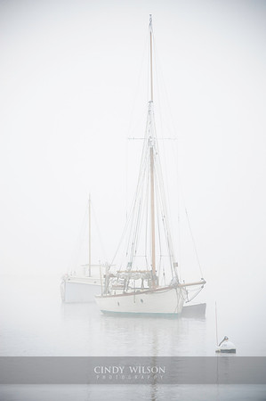 Boats in the Mist