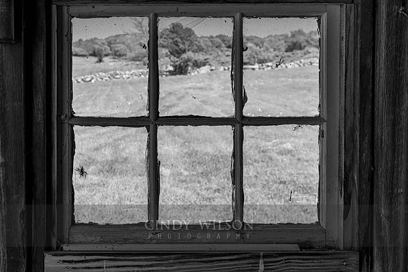 Window on a Pasture