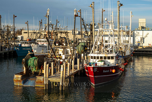 Fishing Fleet, Galilee