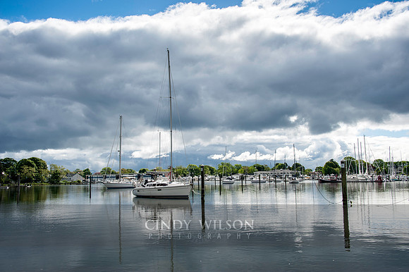 Summer Days, Wickford