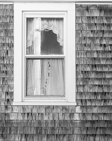 Lace Curtains