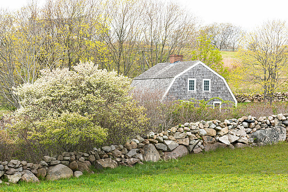 Spring at Smiling Through