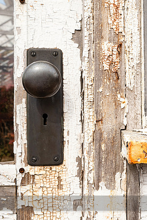 Face in a Doorknob