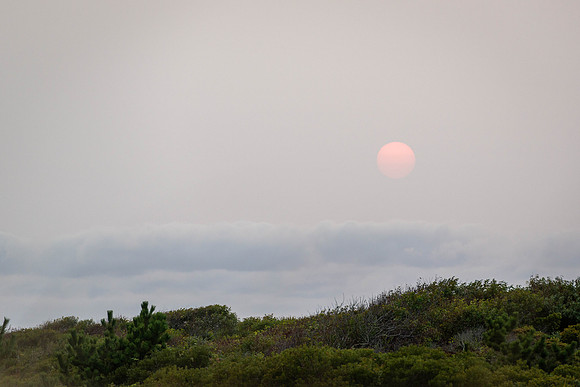 Smoke Obscured Sun