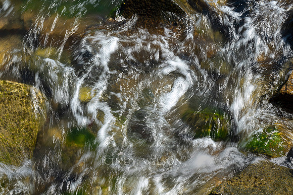 Narragansett Swirls 2122