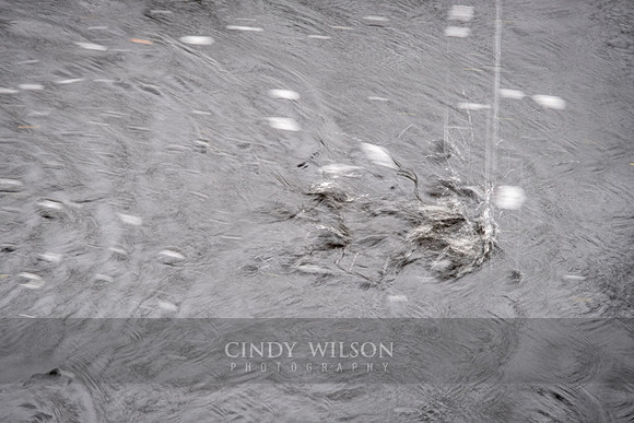 Slow Motion Rain