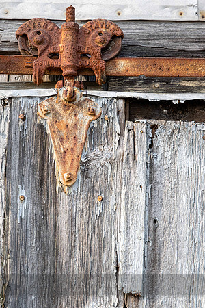 Ram's Head Hinge