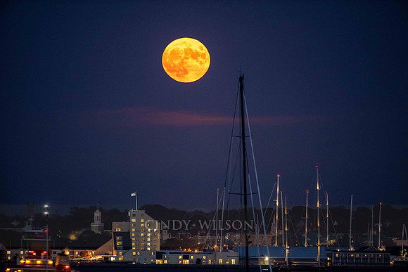 Harvest Moon