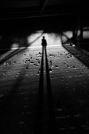 Long Shadow, Bristol, RI
