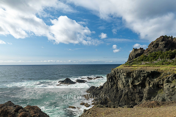 Bottle Cove, 2024
