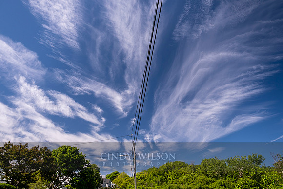Angel Wings, Rockport, MA
