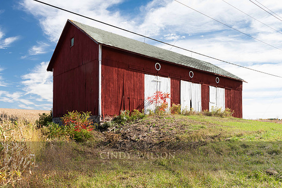 Red Barn, Lyons, NY