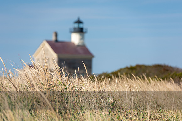 North Light with Grasses, Block Island, RI