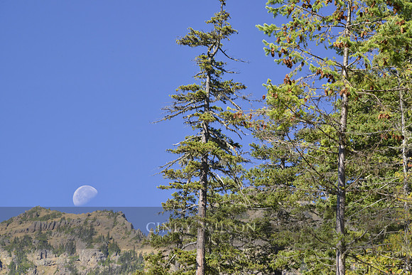 Moonset over Hurricane Ridge, WA
