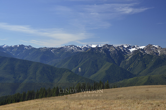 Receding Glacier, Hurricane Ridge, WA