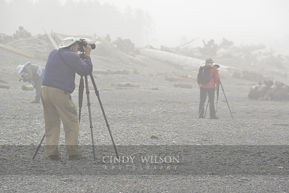 Photography Workshop in the Mist, Rialto Beach, WA