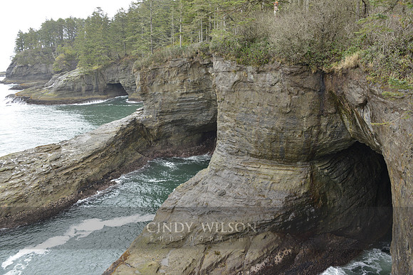 Sea Caves, Neah Bay, WA