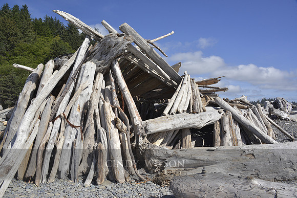 Driftwood Shelter, Rialto Beach, WA