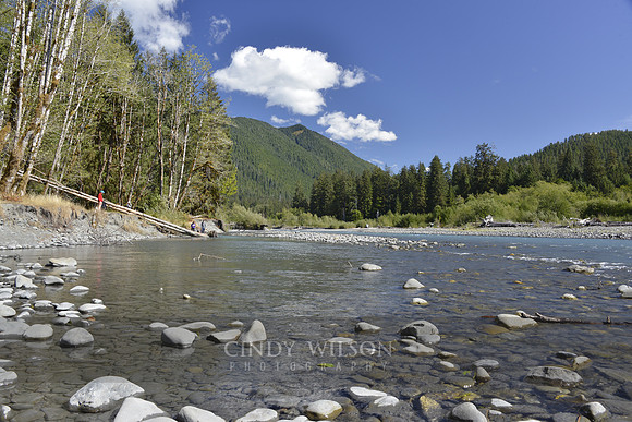 Riverbed, Hoh Rain Forest