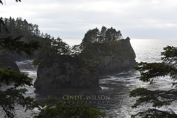 Sea Stacks, Neah Bay, WA