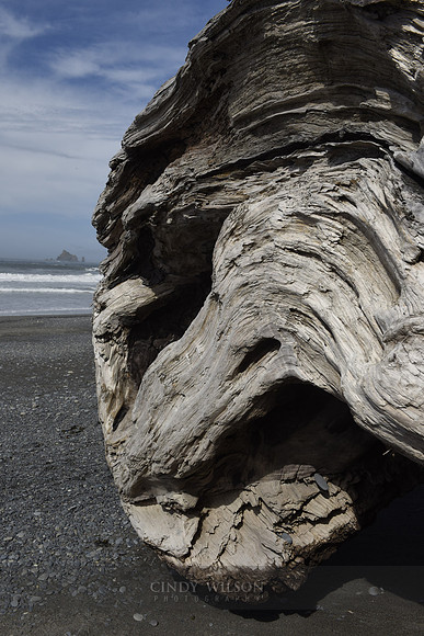 Driftwood, Rialto Beach, Wa