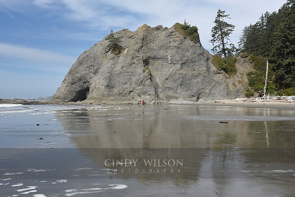 Sea Stack, Rialto Beach, WA