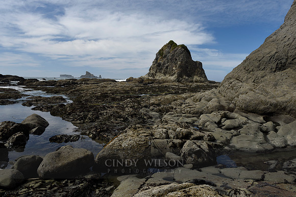 Sea Stack and Rocks, Rialto Beach, WA