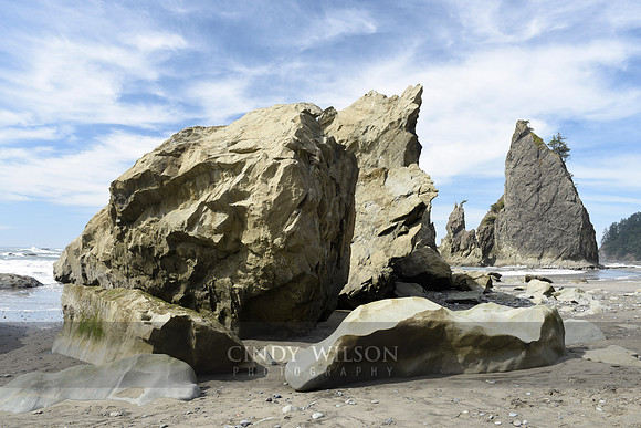 Sea Stack, Rialto Beach, WA