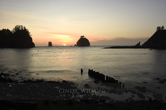 Sea Stack at Sunset, Rialto Beach, WA