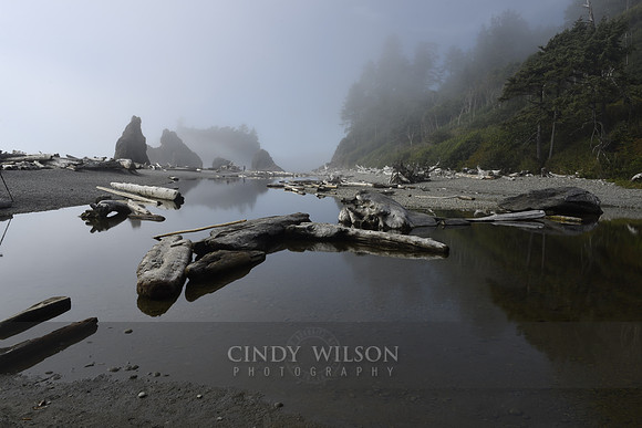 Reflections in the Mist, Ruby Beach, WA