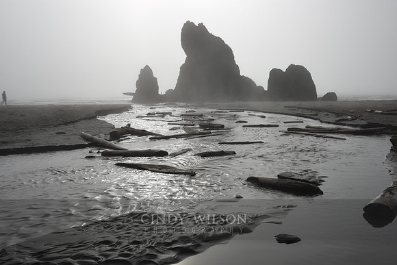 Sea Stack, Ruby Beach, WA