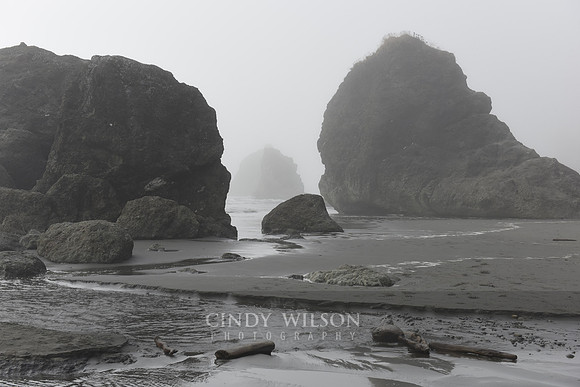 Sea Stack, Ruby Beach, WA