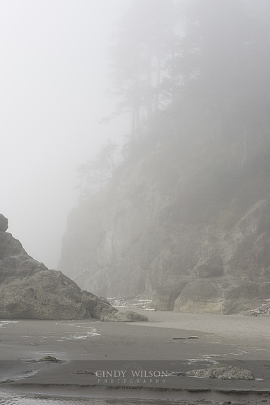 Layers in the Mist, Ruby Beach, WA