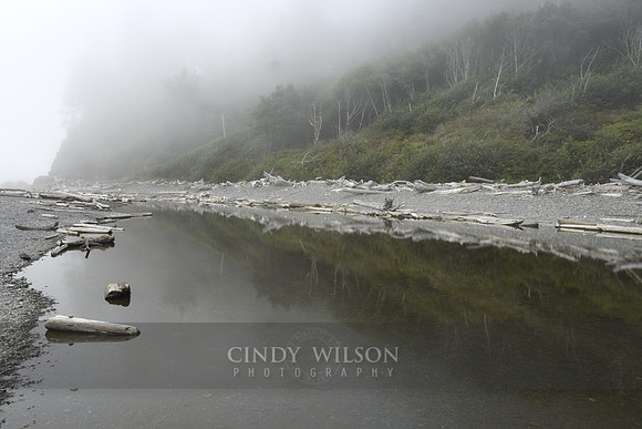 Reflections in the Mist, Ruby Beach, WA