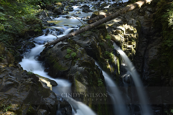 Solduc Falls, WA